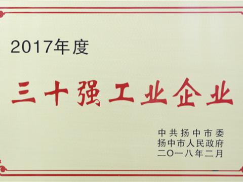 九游会J9集团提升2017年度扬中市“三十强”前五位